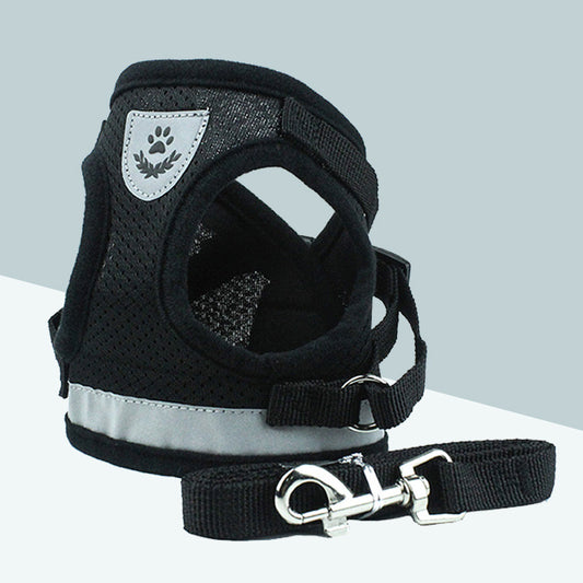 Breathable Mesh Pet Harness – Chest & Back Comfort