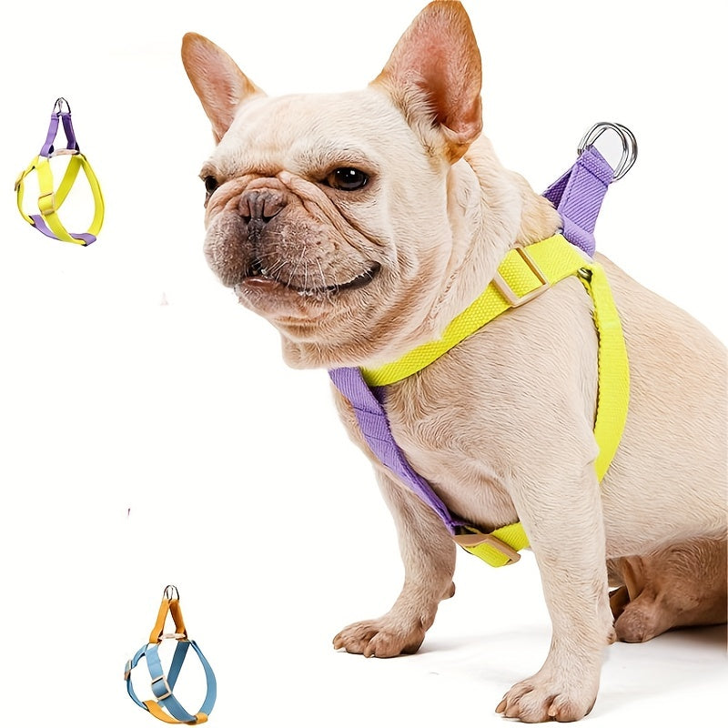 Anti-Escape Dog Harness & Leash Set – Colorblock Design