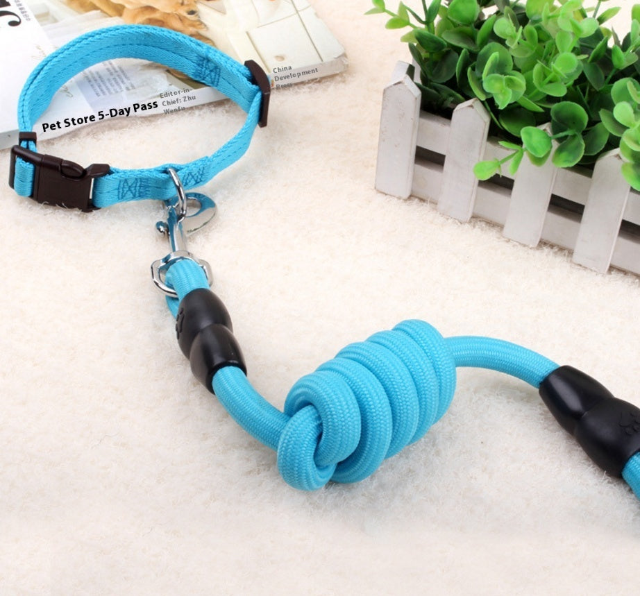 Elastic Dog Leash and Collar – Shock-Absorbing Training Set