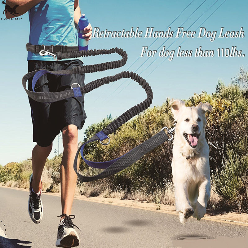 Hands-Free Running Dog Leash with Shock Absorber – Reflective