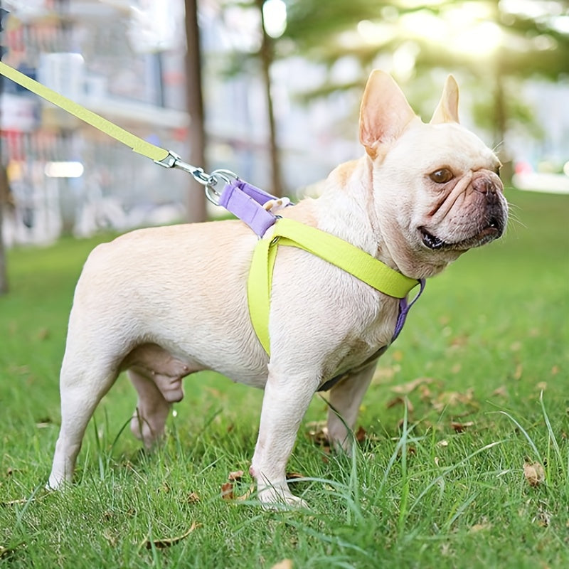 Anti-Escape Dog Harness & Leash Set – Colorblock Design