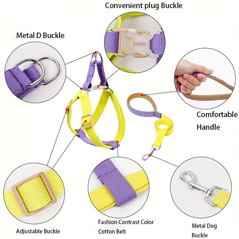 Anti-Escape Dog Harness & Leash Set – Colorblock Design