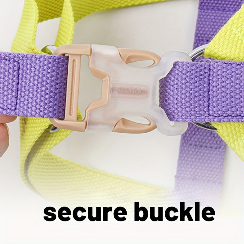 Anti-Escape Dog Harness & Leash Set – Colorblock Design