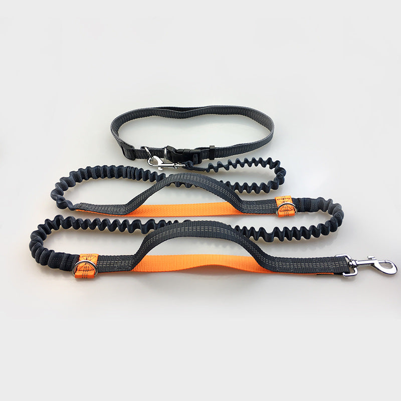Hands-Free Running Dog Leash with Shock Absorber – Reflective