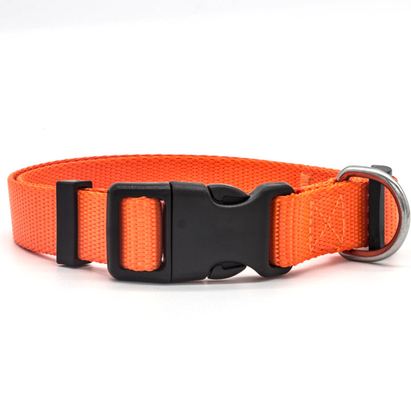 Adjustable Dog Collar – Durable & Comfortable Pet Collar