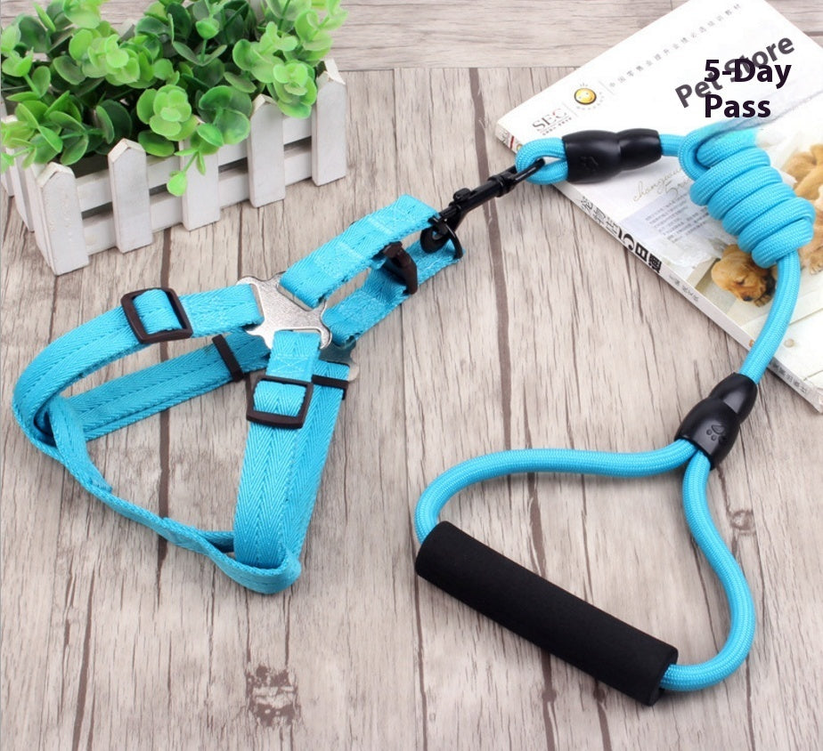 Elastic Dog Leash and Collar – Shock-Absorbing Training Set