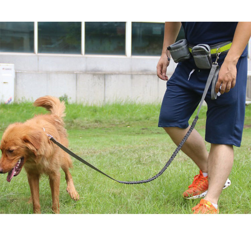 Adjustable Hands-Free Dog Leash for Running & Walking