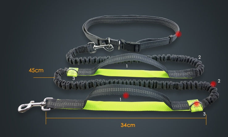 Hands-Free Running Dog Leash with Shock Absorber – Reflective