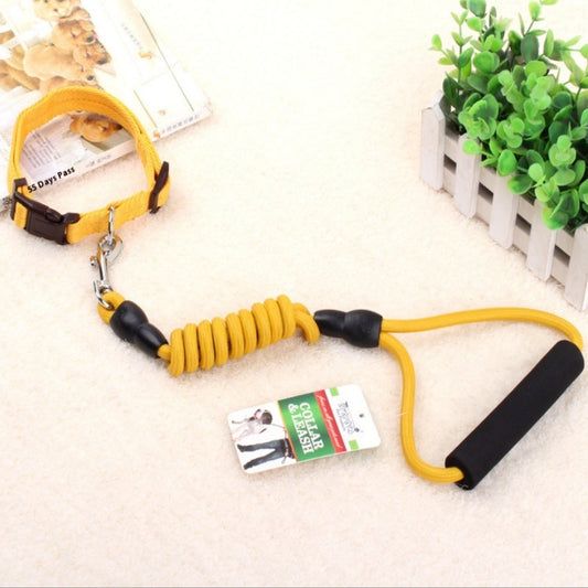 Elastic Dog Leash and Collar – Shock-Absorbing Training Set