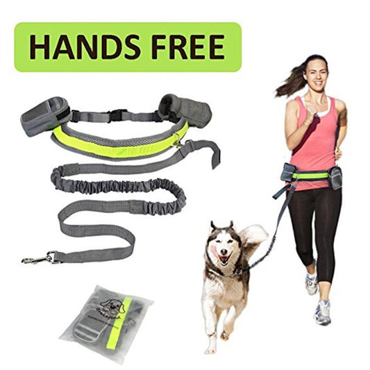 Adjustable Hands-Free Dog Leash for Running & Walking