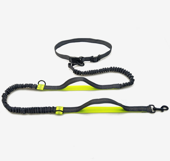 Hands-Free Running Dog Leash with Shock Absorber – Reflective