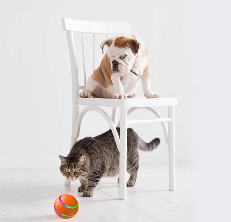 Interactive Smart Ball for Cats – USB Rechargeable