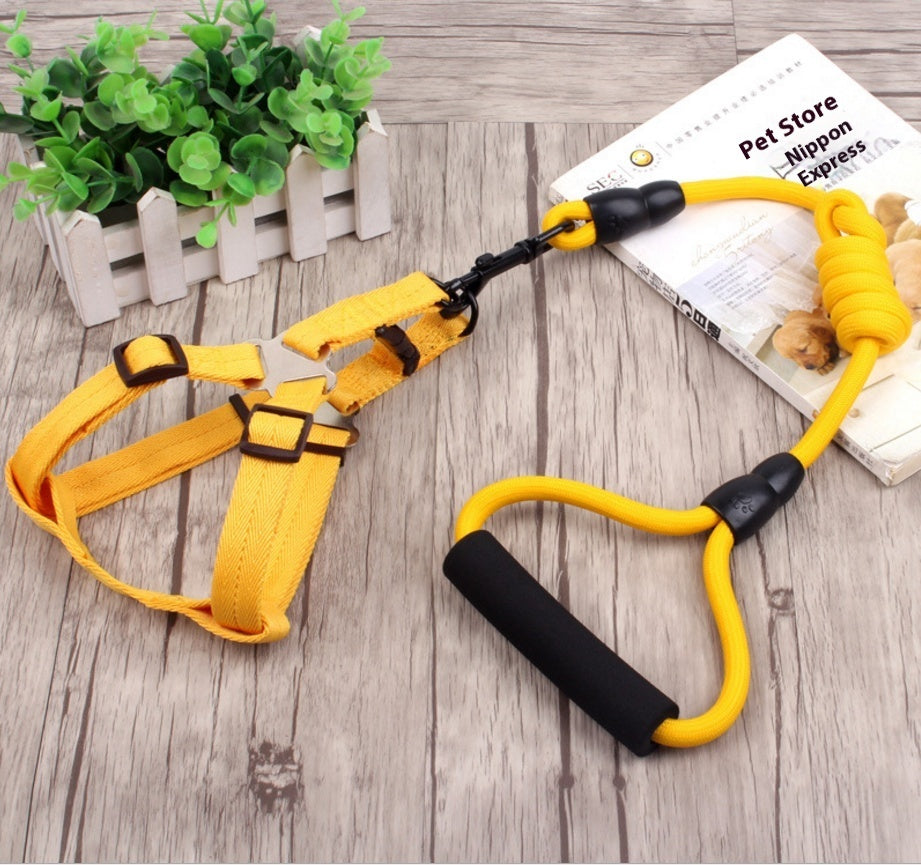 Elastic Dog Leash and Collar – Shock-Absorbing Training Set