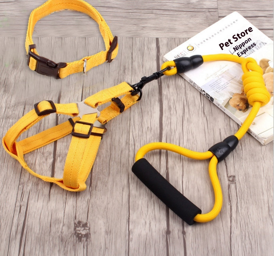 Elastic Dog Leash and Collar – Shock-Absorbing Training Set