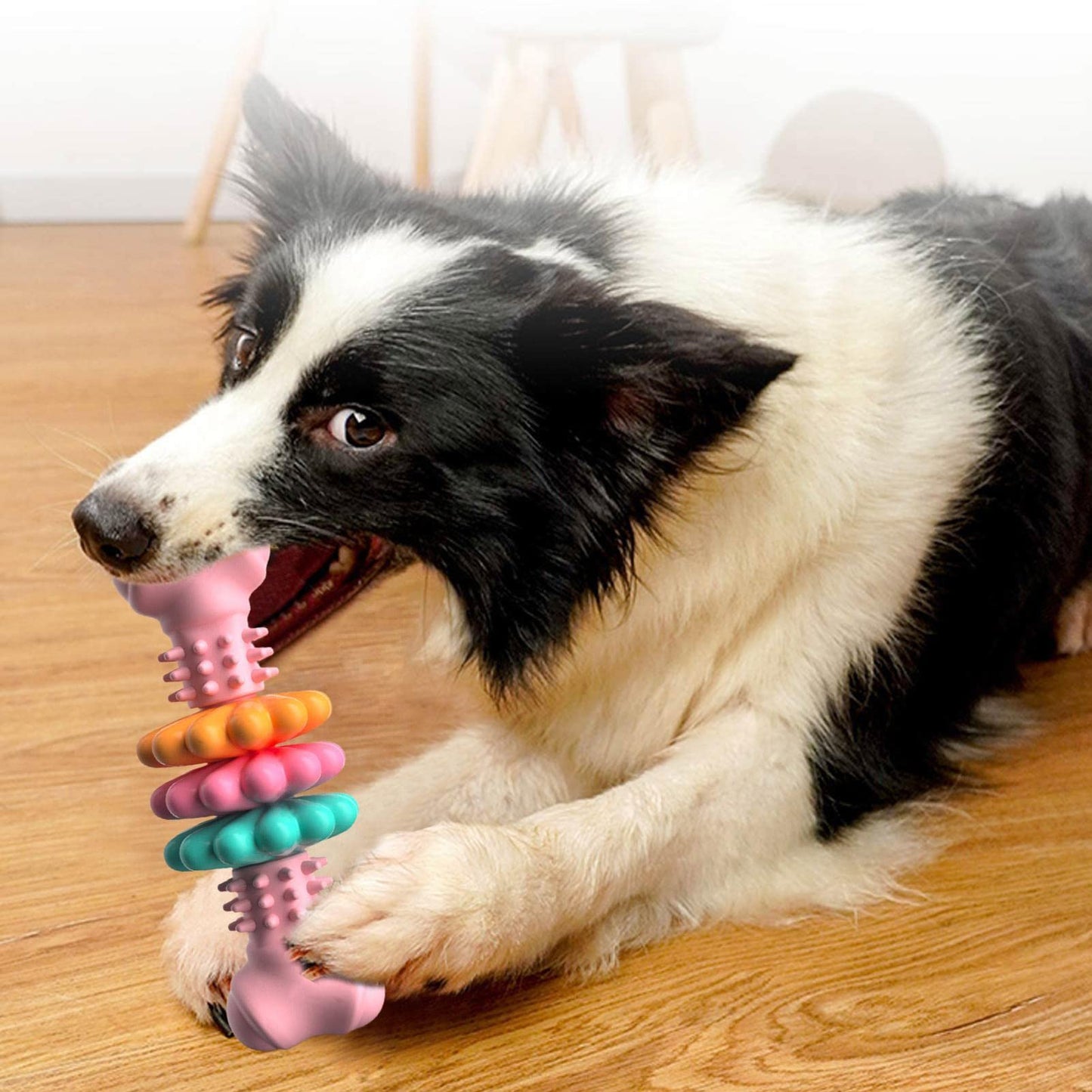 Dog Dental Chew Toy – TPR Bone for Teeth Cleaning