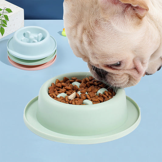 Pet Slow Feeder Bowl – Anti-Choking Food Bowl for Dogs & Cats