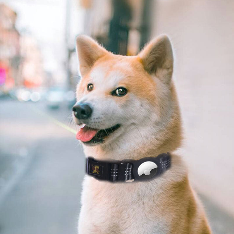 Smart Pet Tracking Collar Compatible with Apple AirTag – Comfortable & Secure